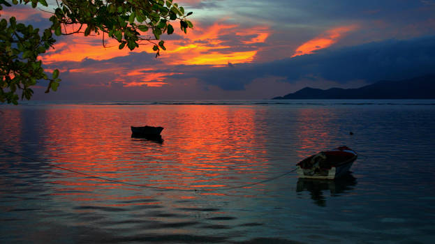 Tropical Sunset - La Digue