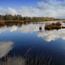 Moorland Lake