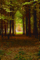 Mystical Pathways