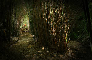 Pathways