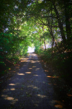Mystical Pathways