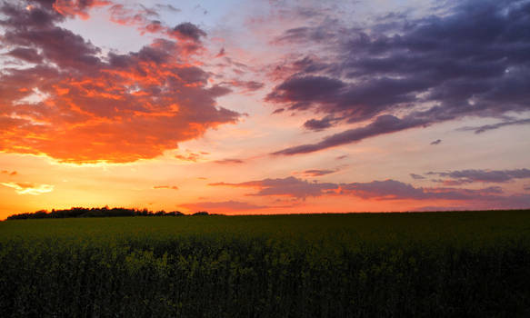 Beautiful Sunset - At home