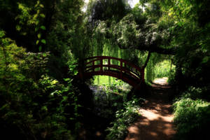 Mystical Path