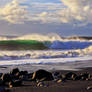 Beautiful Islands - La Palma