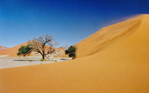 Beautiful Continent - Namibia