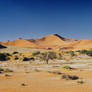 Beautiful Continent - Namibia