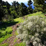 Beautiful Islands - La Palma