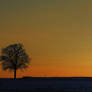 Beautiful Sunset - At home