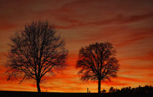 Beautiful Sunset - At home