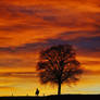 Beautiful Sunset - At home