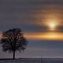 Beautiful Sunset - At home