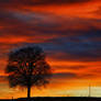 Beautiful Sunset - At home