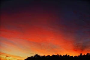 Beautiful Sunset - At home