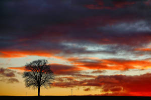 Beautiful Sunset - At home