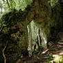 Pathways