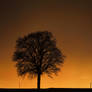 Beautiful Sunset - At home