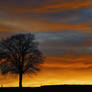 Beautiful Sunset - At home