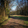 Pathways