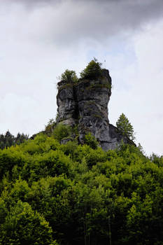 Beautiful Continent - Franconia