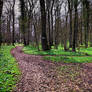 Pathways
