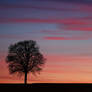 Beautiful Sunset - At home