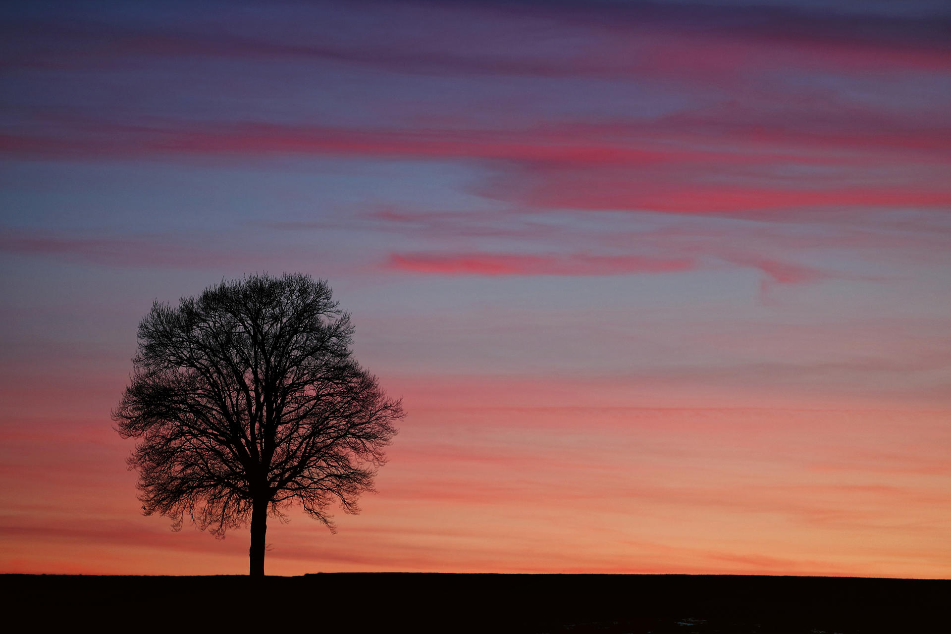 Beautiful Sunset - At home