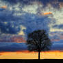 Beautiful Sunset - At home