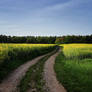 Pathways