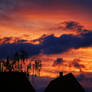Beautiful Sunset - At home