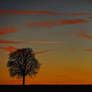 Beautiful Sunset - At home