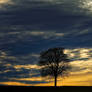 Beautiful Sunset - At home