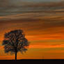 Beautiful Sunset - At home