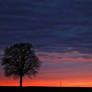 Beautiful Sunset - At home