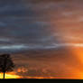 Beautiful Sunset - At home