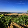Beautiful Continent - Franconia