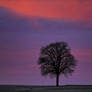 Beautiful Sunset - At home