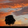 Beautiful Sunset - At home
