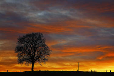 Beautiful Sunset - At home