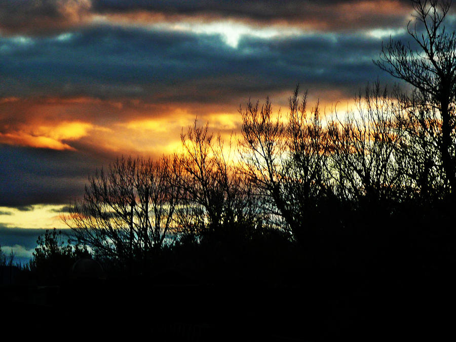 Sky around the forest