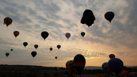 Balloons in the Morning