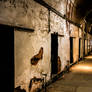 Abandoned Penitentiary - Hallway V