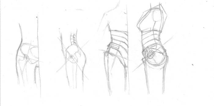 Pelvis study