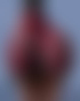 Shawnelle Tight Red Booty Short 0019