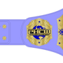 PHCW: Women's World Championship Belt Design.