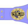 PHCW: Women's World Television Championship Belt.