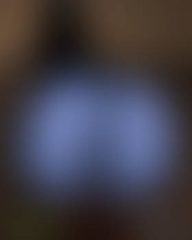 Thique Booty Evangeline - Cut-off Denim Jeans 0033