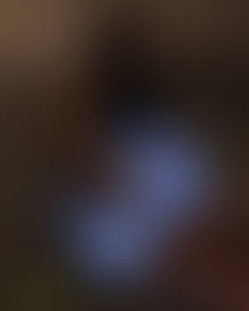 Thique Booty Evangeline - Cut-off Denim Jeans 0035