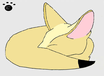 Buck the sleepy fennec fox