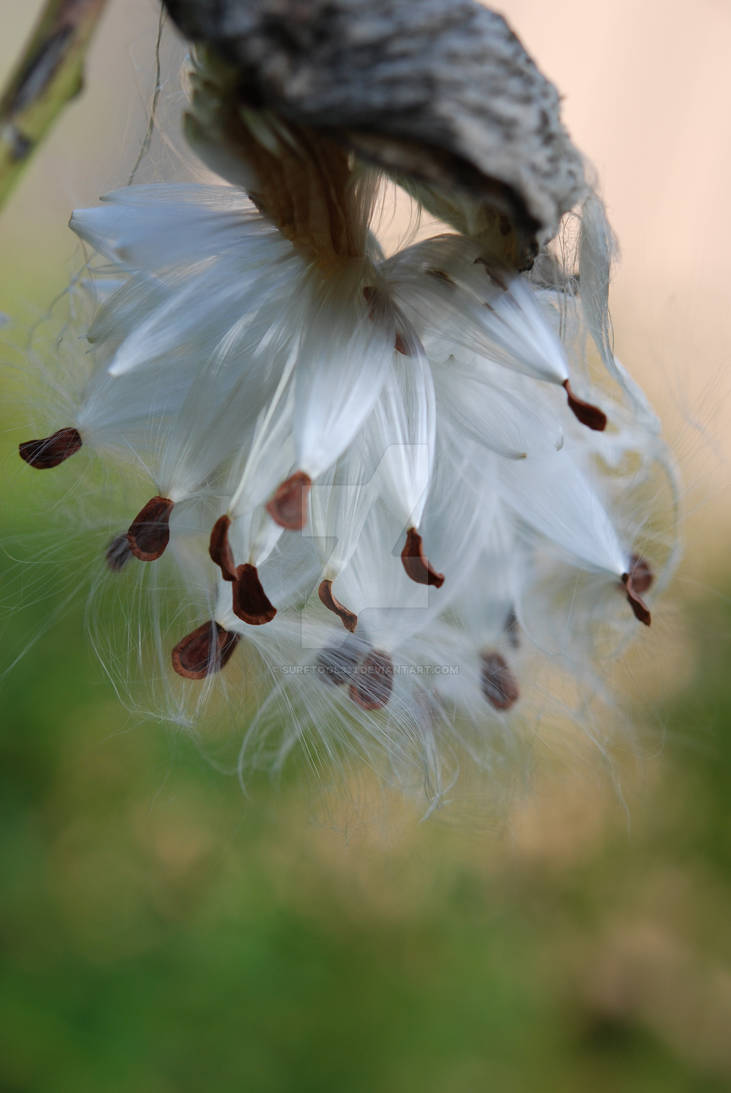 exploding pod by surftool333 on DeviantArt