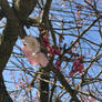 Springing Into Action